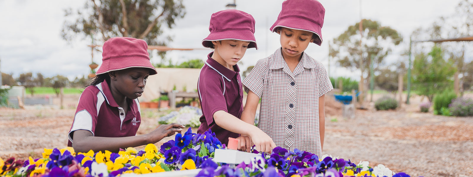 Review of Qld Non-State School Accreditation Framework